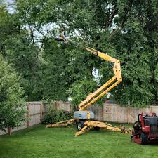 Best Firewood Processing and Delivery  in Mcleansboro, IL
