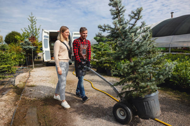 Best Organic Lawn Care Solutions  in Mcleansboro, IL